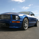 Illustration for article titled 2010 Shelby Mustang GT/SR